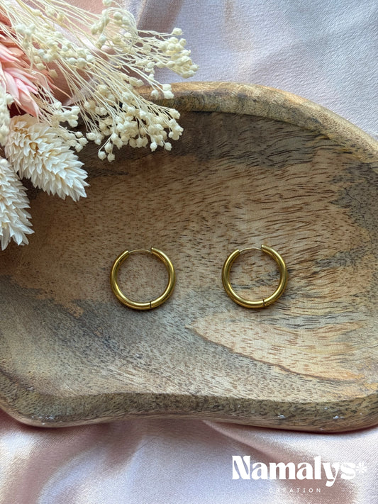 Créoles en Acier Inoxydable